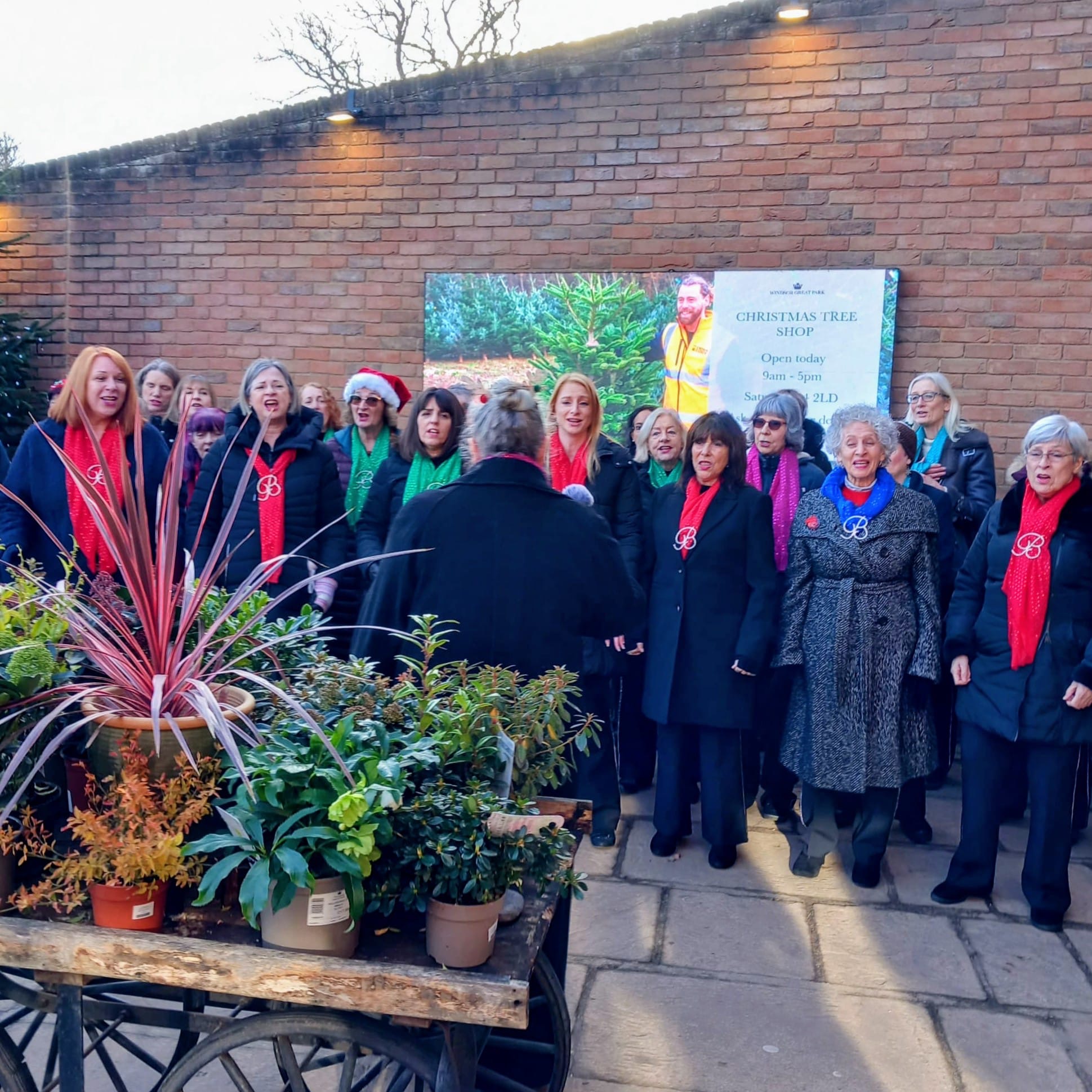 Xmas at Savill Gardens